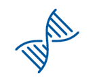 DNA Strand