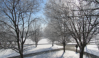 Winter campus