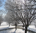 Winter campus